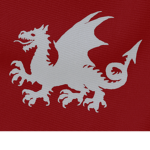 Saxons