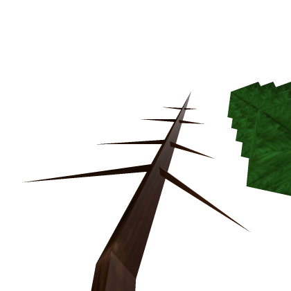 Old trees