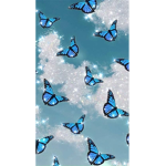 Chloe’s Butterfly