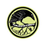 Ravenark Studios