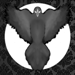 Order of The Veiled