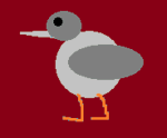 The Cool Pigeonys