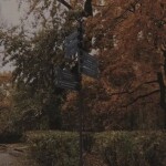 ⋆｡°✩🍂✩°｡⋆