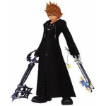 The Kingdom Hearts Fan Club!