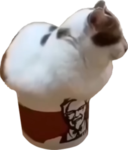 SPIFXX
