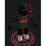 True Roblox Fans (Group)