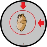 ultimate chomik finder