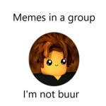 Memes in a group