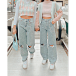 -fariy world-