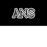 Assassination squad ANS
