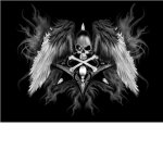 T.H.M