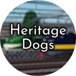 Heritage Dogs