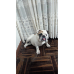 Grupo de sasha