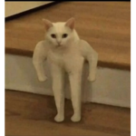 NICECHEESEBURGER12