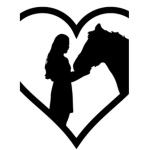 Angel horse academy!
