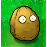 Ze Wall-Nut Nation