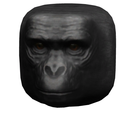 Monkey Head