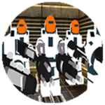 VIP Team