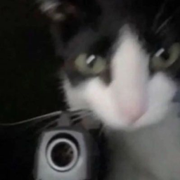 40%