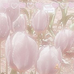 ⋆ ˚｡⋆୨♡୧⋆ ˚｡⋆