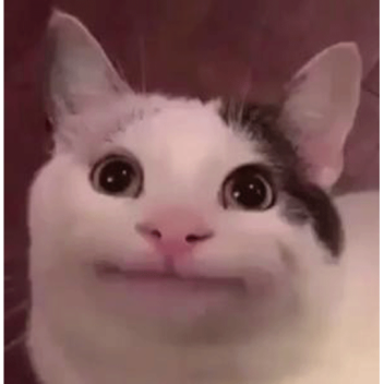 untitled suburban warfare