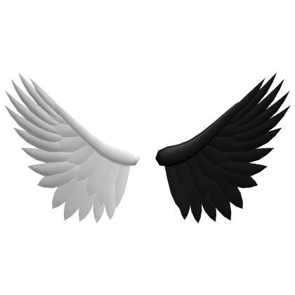 Black and White Wings