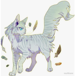 Crocodile’attack Warrior cats group