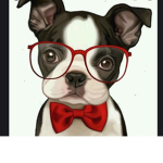 Boston Terrier SQAUD