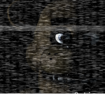 The FNaF Clan :D
