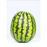 Watermelon yum group
