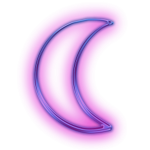 Purple Moon Team