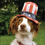Army of Dogs United