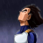 Arsenal Flairs