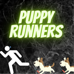 Puppy Runners
