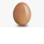 THE EGG CULT EXTREME