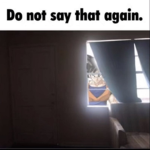 Deez CWRBLX