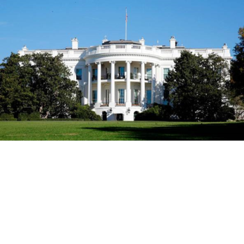 White House Tycoon 