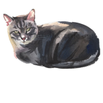 sabermeows