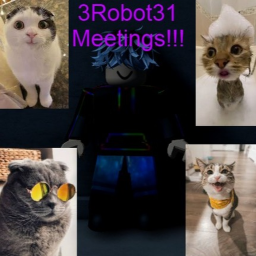 3Robot31's Meetings