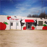 Candy Apples Dance Center