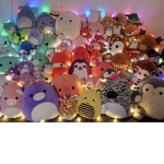 The Squishmallow Fan Club