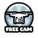 Cinematic FreeCam Access