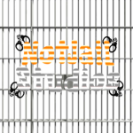 IsNotJail Studios
