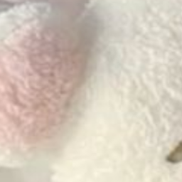 ꒰ᐢ. .ᐢ꒱