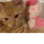 Lovehellokitty
