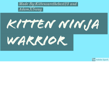 Kitten Ninja Warrior II