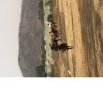 Amaan nigeria