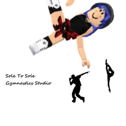Sole To Sole Gymnastics Studio