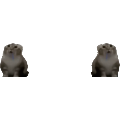 Drooling Cat