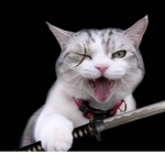 < Warrior Cats Fan Group >